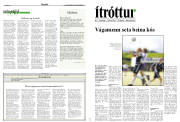 Síða 13
