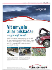 Síða 17
