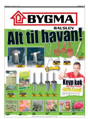 Síða 3