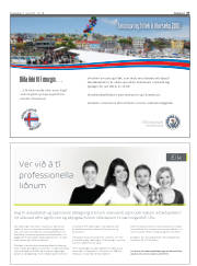 Síða 27