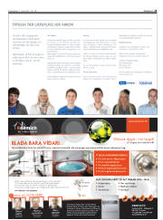 Síða 25