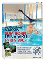 Síða 3