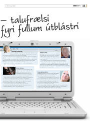 Síða 11