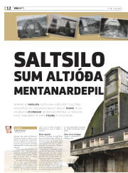 Síða 12