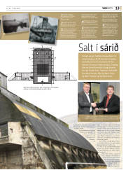 Síða 13
