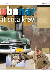 Síða 17