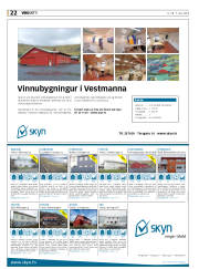 Síða 22