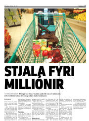 Síða 13