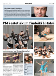 Síða 17