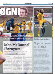 Síða 19