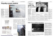Síða 3