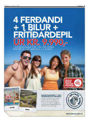 Síða 3