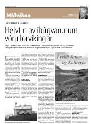 Síða 15
