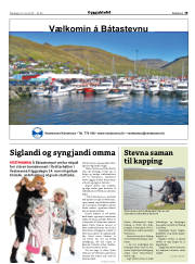 Síða 19