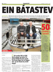 Síða 20