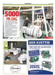 Síða 29