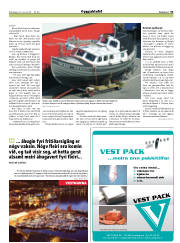 Síða 31