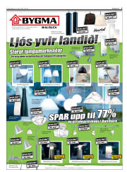 Síða 3