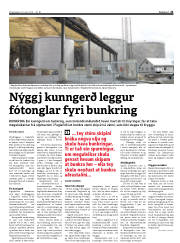 Síða 21