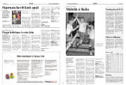Síða 13