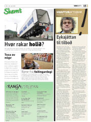 Síða 15
