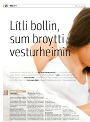 Síða 16