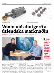 Síða 6