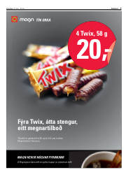 Síða 7