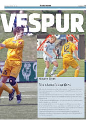 Síða 19