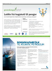 Síða 5