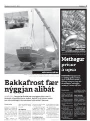 Síða 9