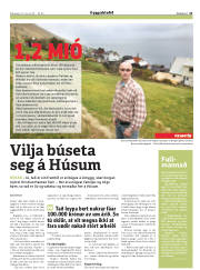 Síða 21