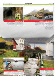 Síða 25