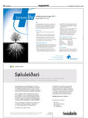 Síða 30