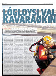 Síða 44
