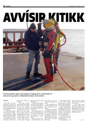 Síða 46