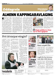 Síða 2