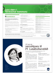 Síða 17