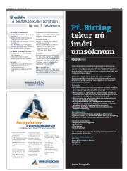 Síða 21