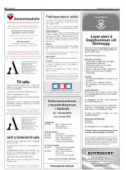 Síða 32