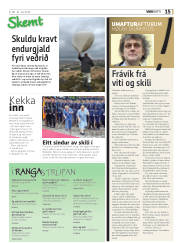 Síða 15