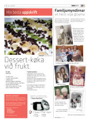 Síða 19