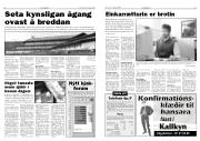 Síða 6