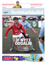 Síða 19
