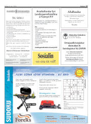 Síða 37