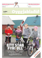 Síða 17