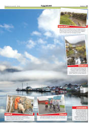 Síða 25