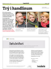 Síða 31