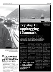 Síða 11