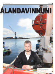 Síða 29